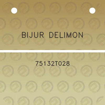 bijur-delimon-75132t028