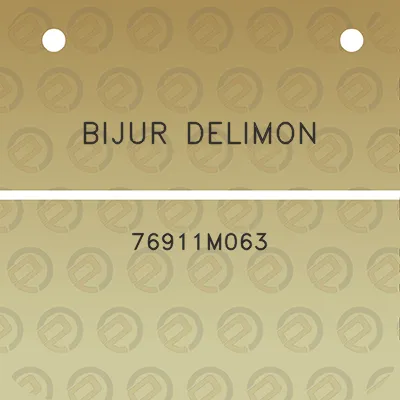 bijur-delimon-76911m063