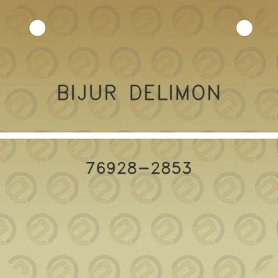 bijur-delimon-76928-2853