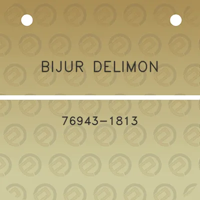 bijur-delimon-76943-1813