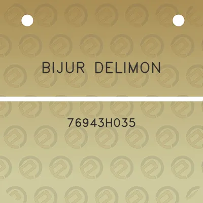 bijur-delimon-76943h035