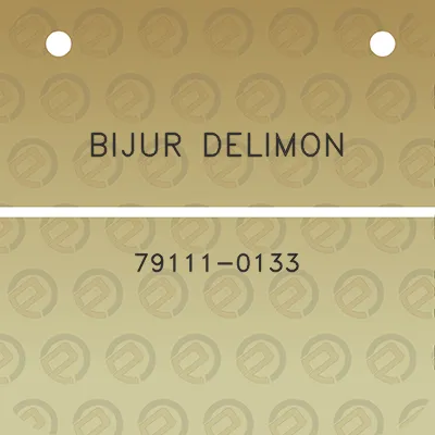 bijur-delimon-79111-0133