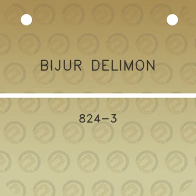 bijur-delimon-824-3