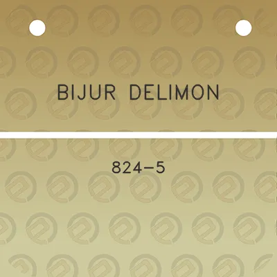 bijur-delimon-824-5