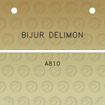 bijur-delimon-a810