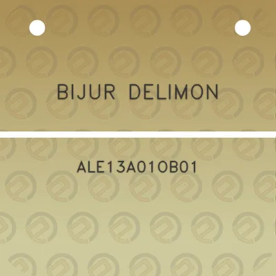 bijur-delimon-ale13a01ob01