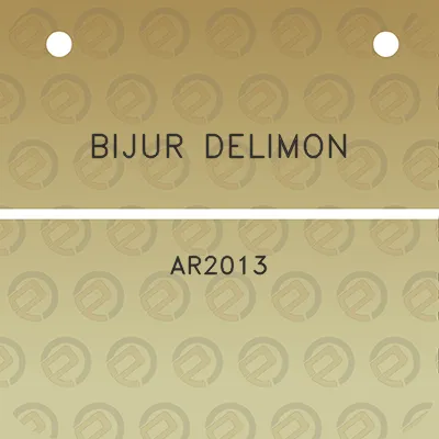 bijur-delimon-ar2013