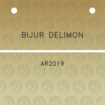 bijur-delimon-ar2019