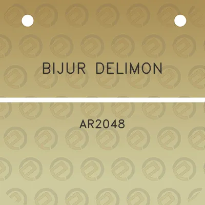 bijur-delimon-ar2048