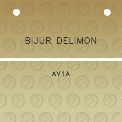 bijur-delimon-av1a