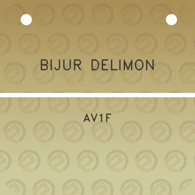 bijur-delimon-av1f