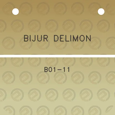 bijur-delimon-b01-11