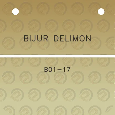 bijur-delimon-b01-17