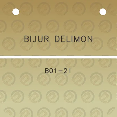 bijur-delimon-b01-21