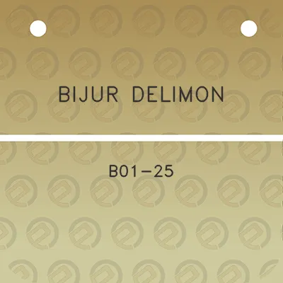 bijur-delimon-b01-25