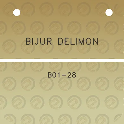 bijur-delimon-b01-28