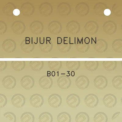 bijur-delimon-b01-30