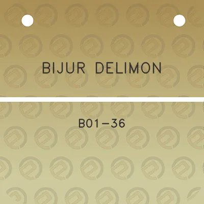 bijur-delimon-b01-36