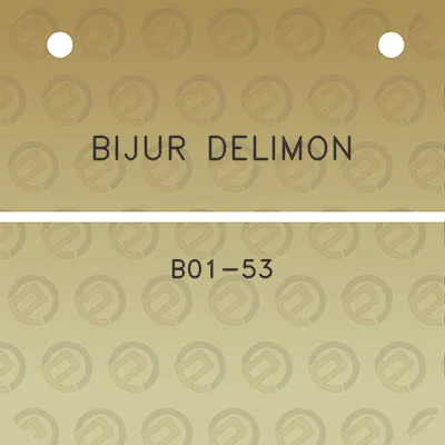 bijur-delimon-b01-53