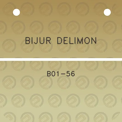 bijur-delimon-b01-56