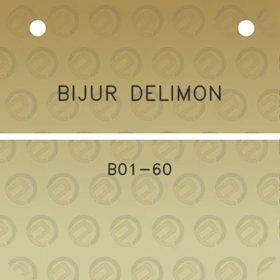 bijur-delimon-b01-60