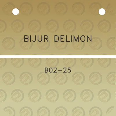 bijur-delimon-b02-25