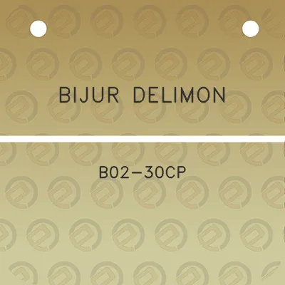 bijur-delimon-b02-30cp