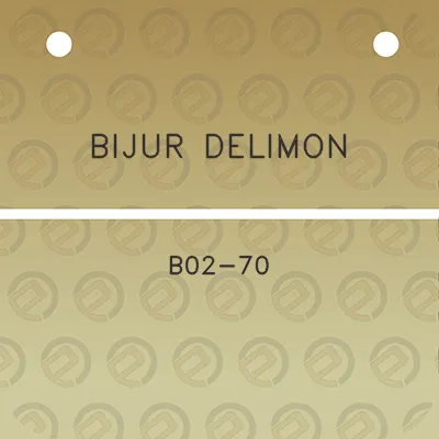 bijur-delimon-b02-70