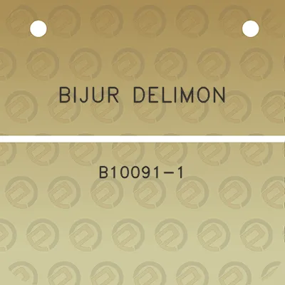 bijur-delimon-b10091-1