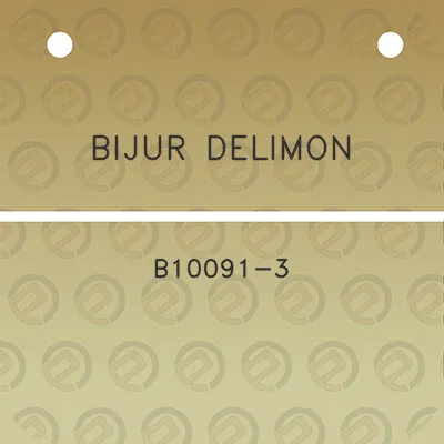 bijur-delimon-b10091-3