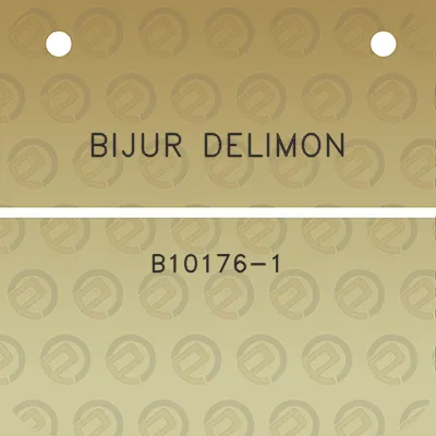 bijur-delimon-b10176-1