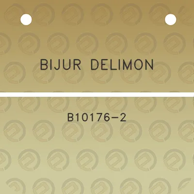 bijur-delimon-b10176-2