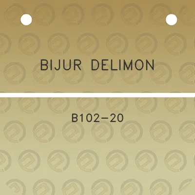 bijur-delimon-b102-20