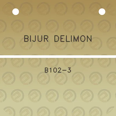 bijur-delimon-b102-3