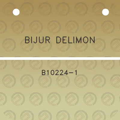 bijur-delimon-b10224-1