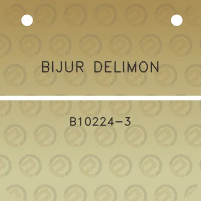 bijur-delimon-b10224-3