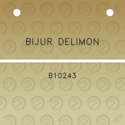 bijur-delimon-b10243