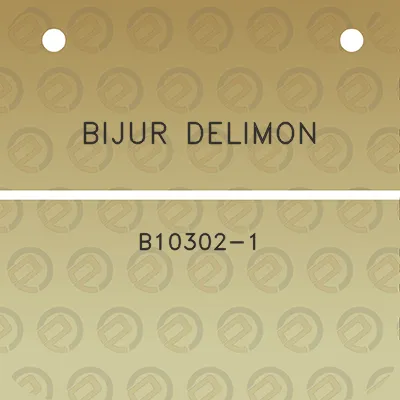 bijur-delimon-b10302-1