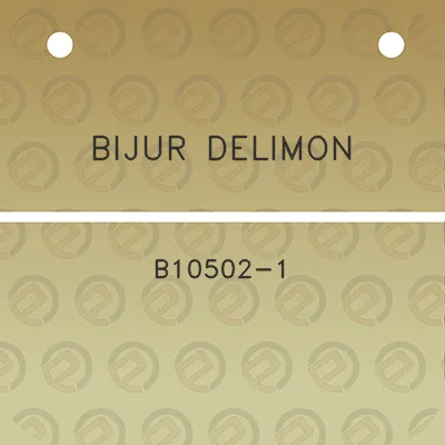 bijur-delimon-b10502-1