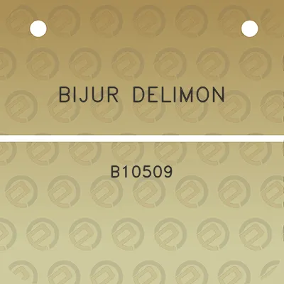 bijur-delimon-b10509