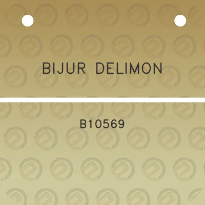 bijur-delimon-b10569