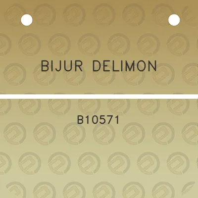 bijur-delimon-b10571