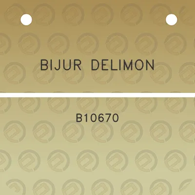 bijur-delimon-b10670