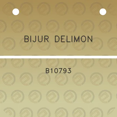 bijur-delimon-b10793