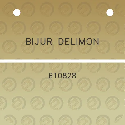 bijur-delimon-b10828