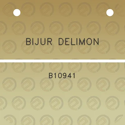 bijur-delimon-b10941