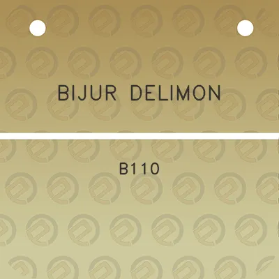 bijur-delimon-b110