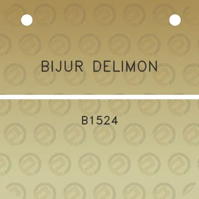 bijur-delimon-b1524