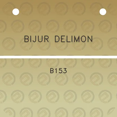 bijur-delimon-b153