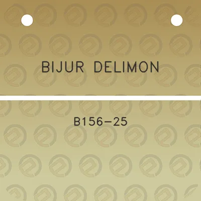 bijur-delimon-b156-25